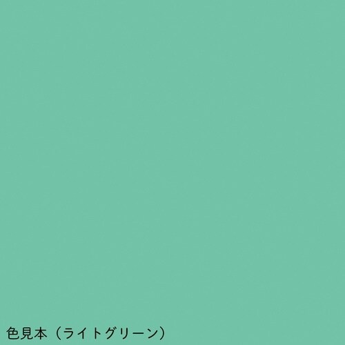カラフル心エコー検査台