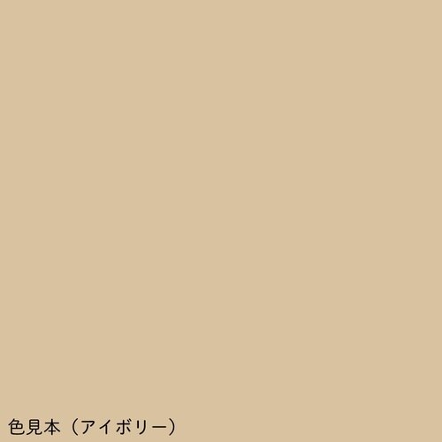 カラフル心エコー検査台