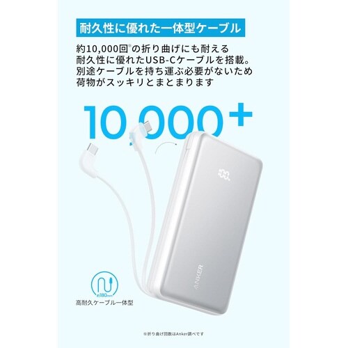 Zolo Power Bank