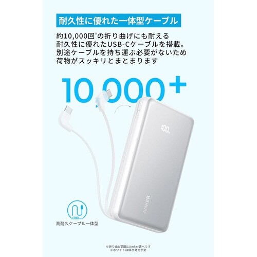 Zolo Power Bank