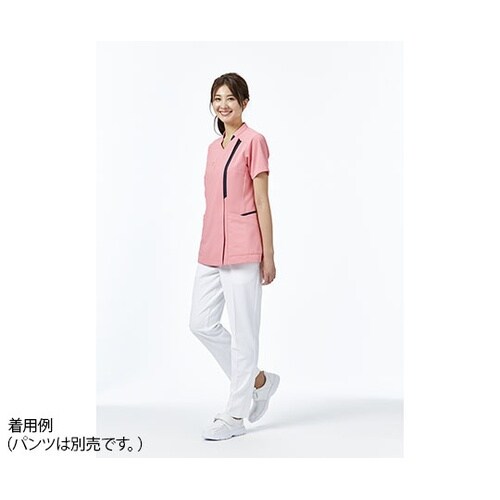 �X�N���u�@�׃S�j�A�s���N