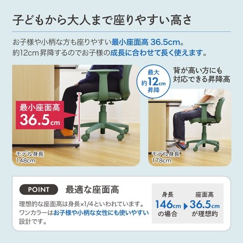ワンカラー