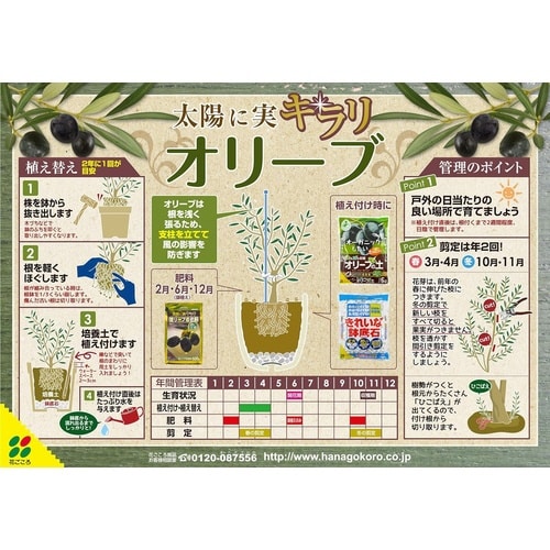 オリーブの土 12L