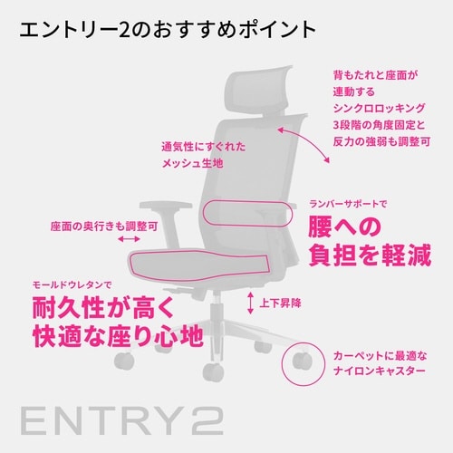 ENTRY2 エントリー2 メッシュタイプ ブラックフレーム 肘有り