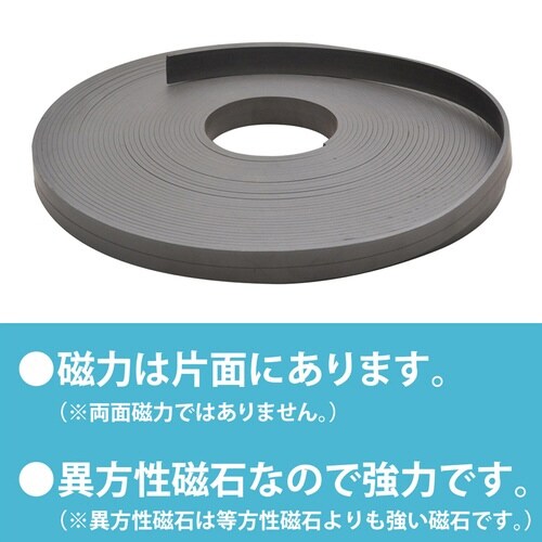 マグネットベルト 異方性