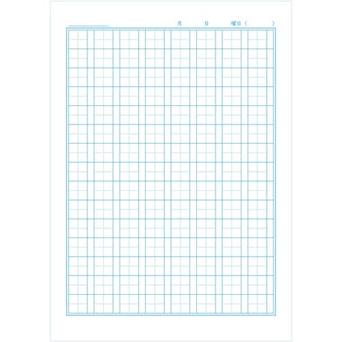 ショウワノート ジャポニカ 漢字