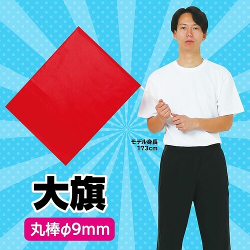 大旗(590×440)