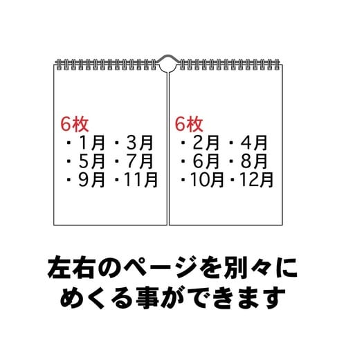 �G���v�����@�Q�O�Q�V�J�����_�[