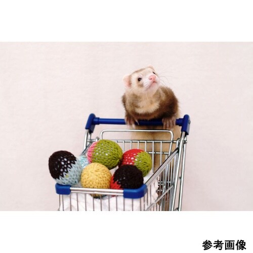 ふぇれたまご