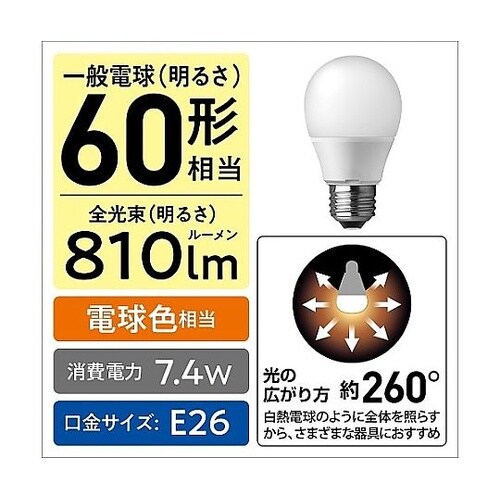 電球/LED(電球色)