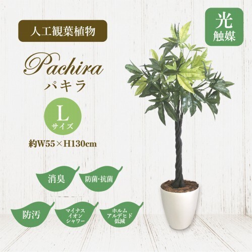 ササガワ 人工観葉植物パキラlサイズ カウネット ササガワ 人工観葉植物パキラlサイズ カウネット