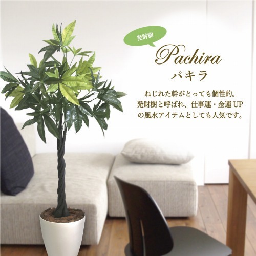 ササガワ 人工観葉植物パキラlサイズ カウネット ササガワ 人工観葉植物パキラlサイズ カウネット