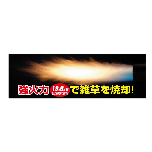 Vxm@ja[QOOk@ăo[i[
