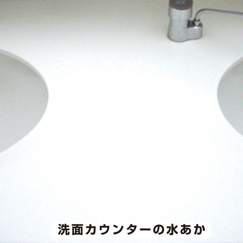 ܁@ʉϑN[i[@POOlk