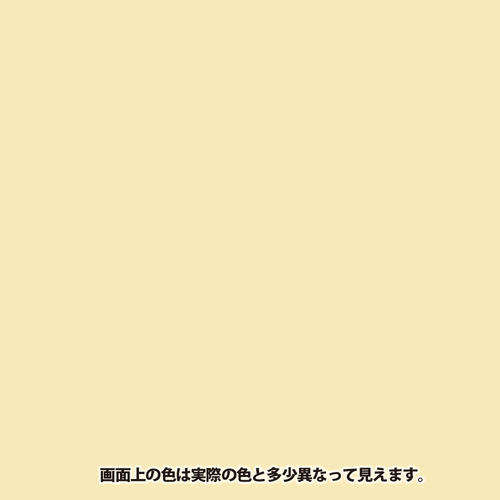 VRbJ[Xv[@AC{[