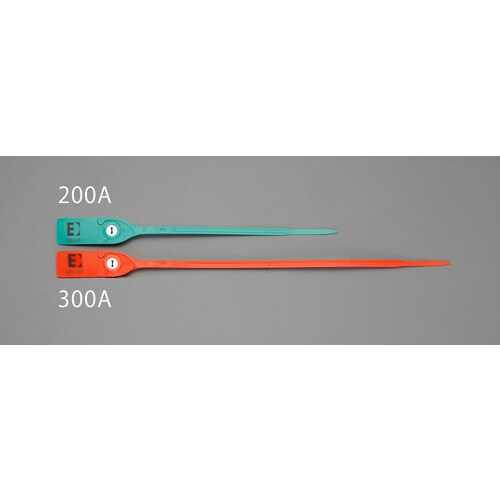 ����V�[���o���h�i�Q�O�{�j