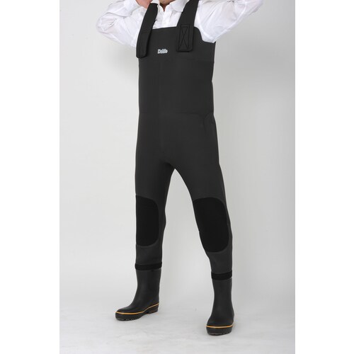 �������C�i���W�A����j