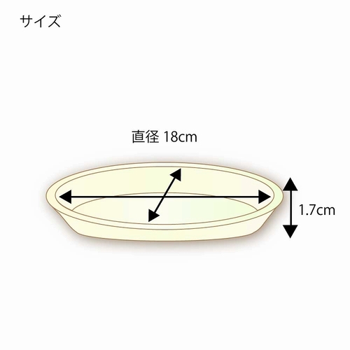 まとめ）サンナップ しましまペーパープレート 18cm 10枚〔×100セット