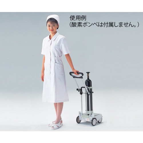 アズワン 酸素ボンベ運搬車 310×330×880mm 0 アズワン 酸素ボンベ運搬車 310×330×880mm 0