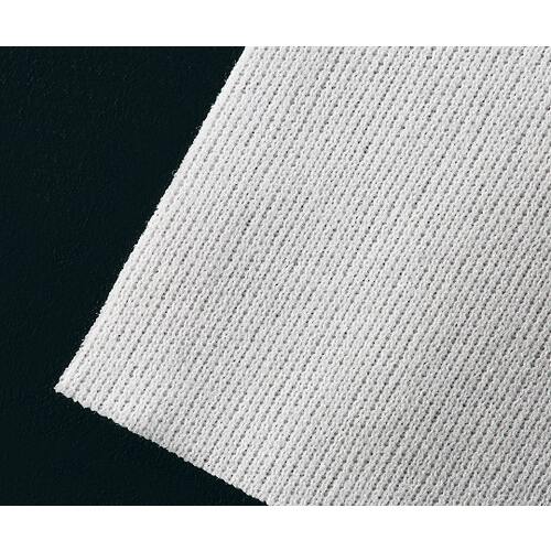 �A�Y�s���A�|���G�X�e�����C�p�[�h�h�i�N���[�����[�������j