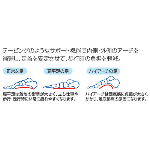 A[`T|[gm\{Ƃn@k