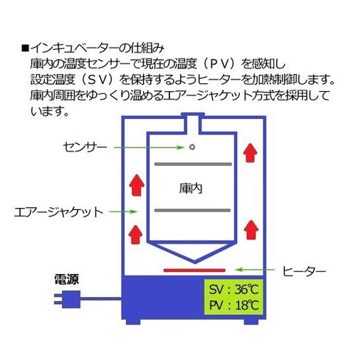 CLx[^[@rhv|STOra