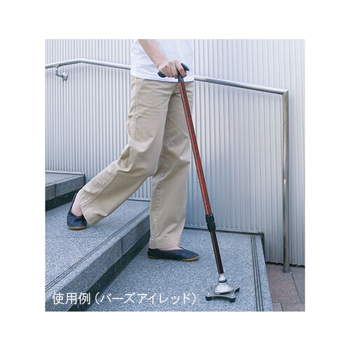 邪S|CgXebL@vaRWQW