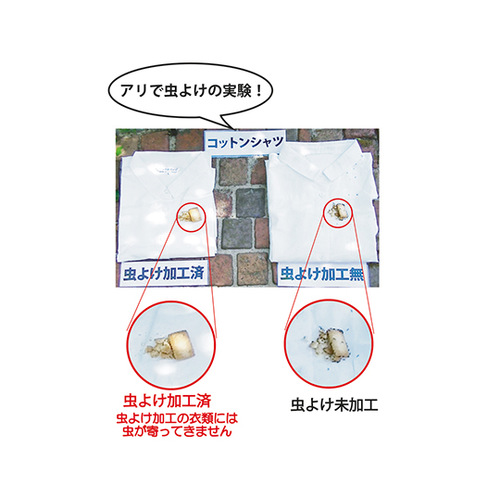 k[POOPԁ@悯uPbg