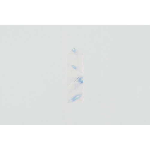 ꌾ̃JPm[Xg[n