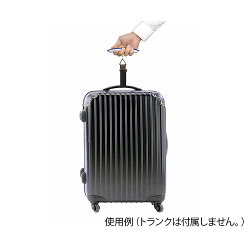 fW^͂@݌^@TOj