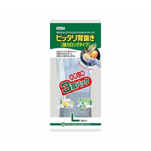 sb^̓ORo