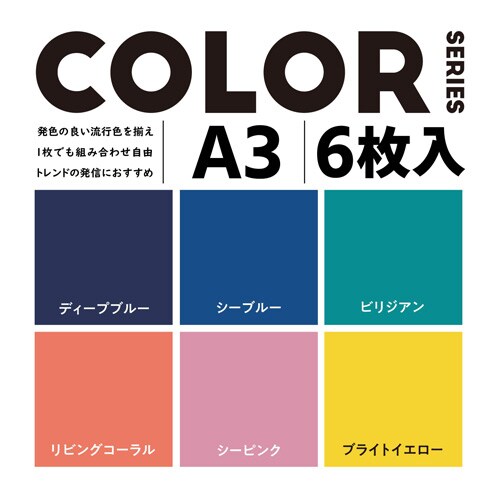 エレコム 撮影用背景シート ｃｏｌｏｒ ａ３ カウネット