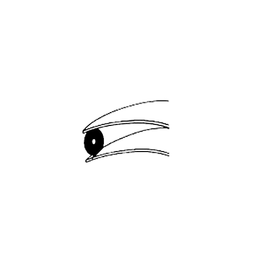 gWX^[psZbg@hc[UP`