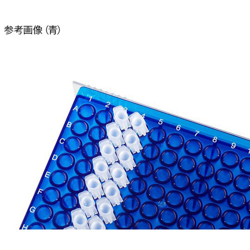 PQOTSP@TቷobqbN