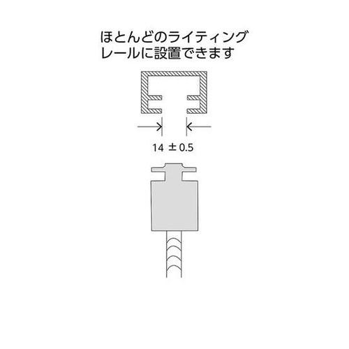 ۃ~[iCeBO[ptj