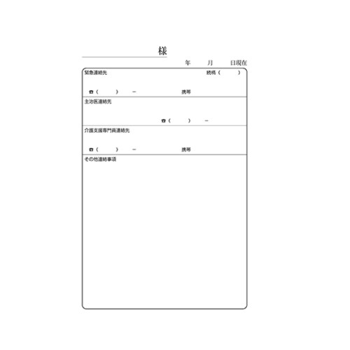 CAPS 看護・介護記録用紙 リズミィ1 デイ日誌 B6 1