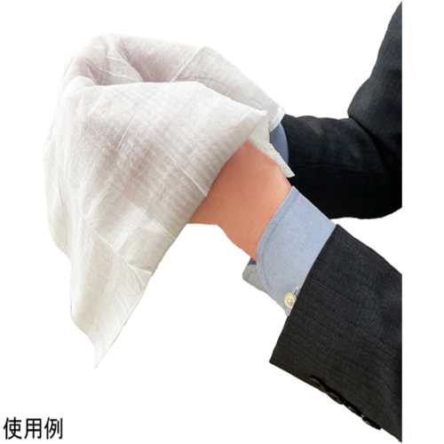 Ή@唻pvsDzڂ@