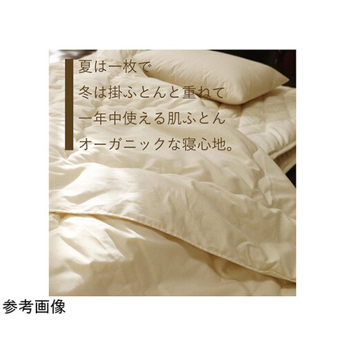 I[KjbNӂƂ@VO