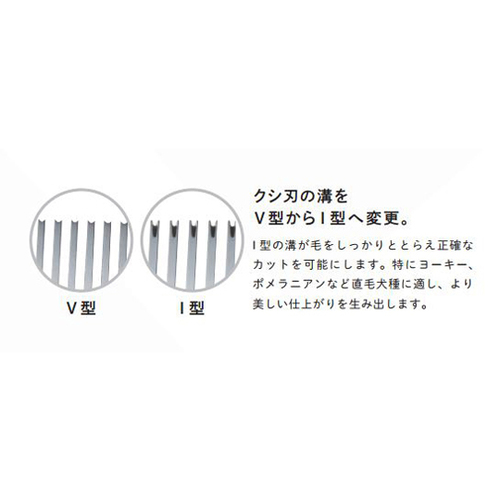 JbgZjOVU[@ӒV[Y@U