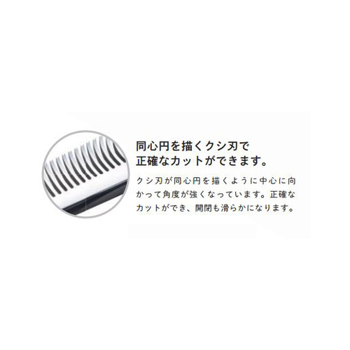 JbgZjOVU[@ӒV[Y@U