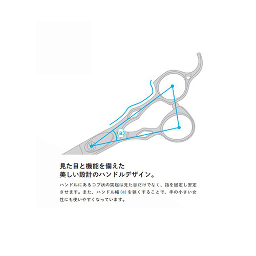 JbgZjOVU[@ӒV[Y@V