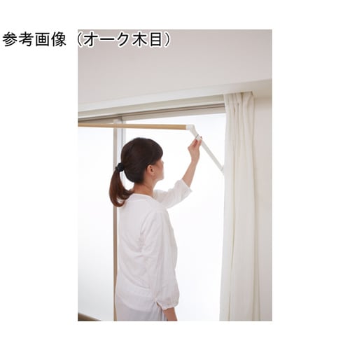 \CG@@I[Nؖځ@PP