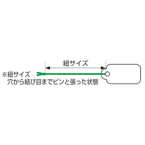D@^@p@n