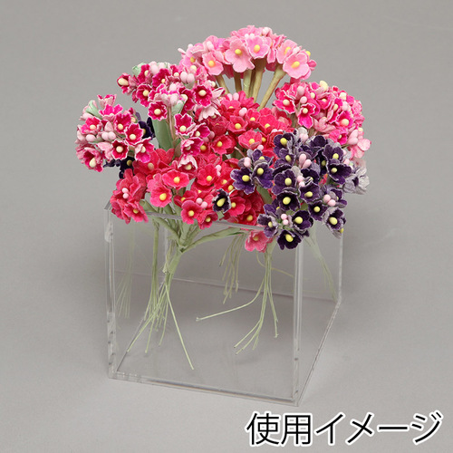 ANTCR@Tʑ́@XOp@SW