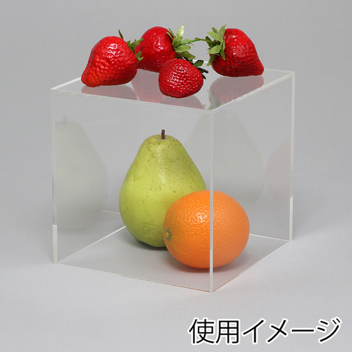 ANTCR@Tʑ́@PTOp@PQ
