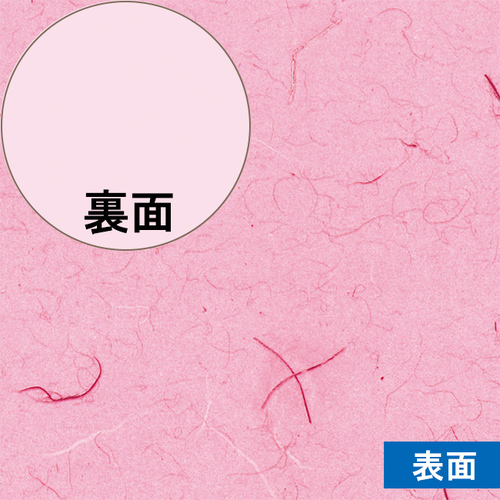 @S@ӂс@sN@POO~T