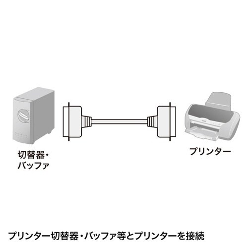 v^P[u