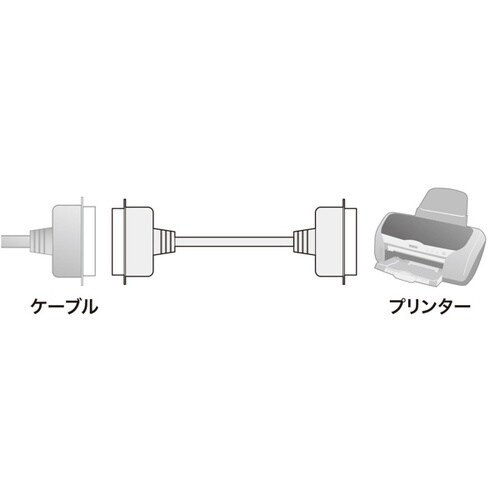 v^P[u