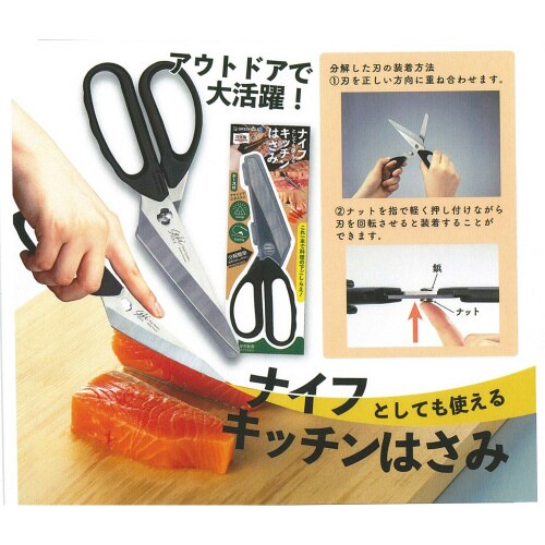 iCtLb`͂