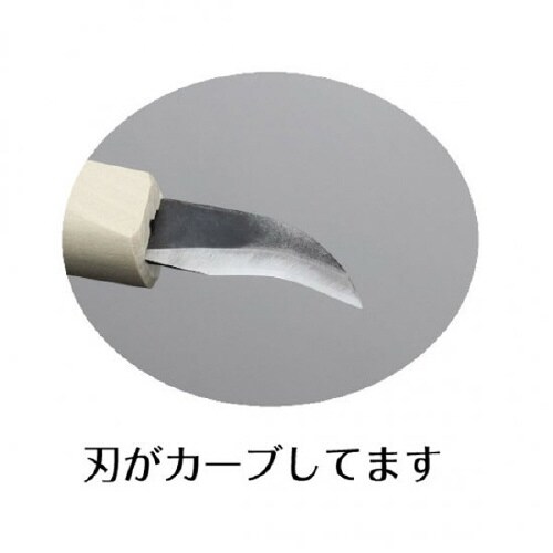 ؕ_쓁